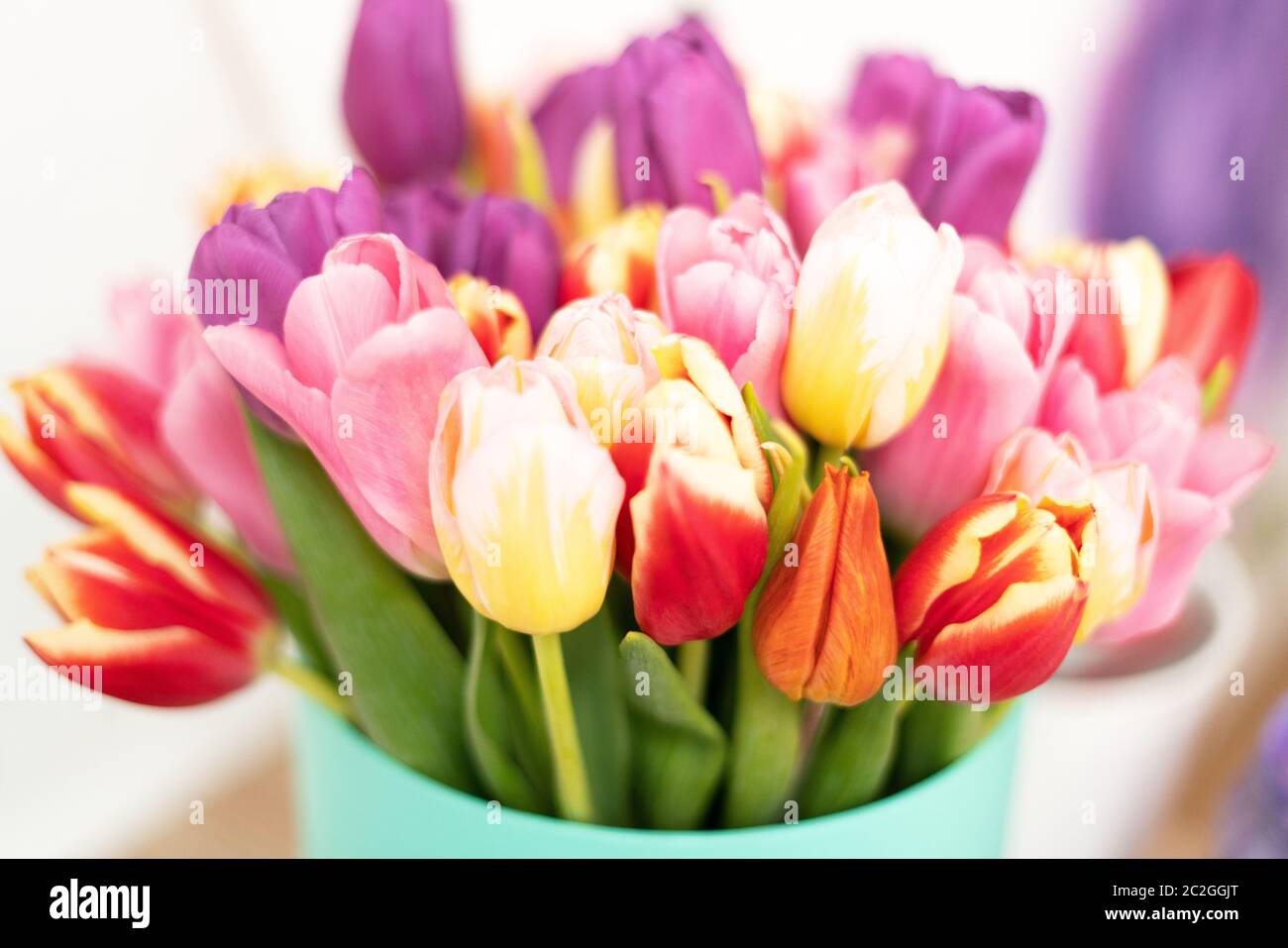 Flowers Floristics Bouquet of colorful tulips. Close up Stock Photo - Alamy