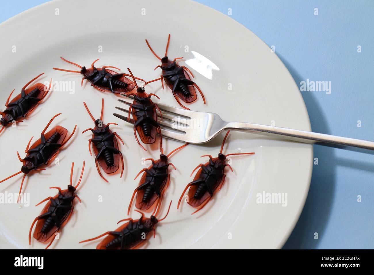 Eating insects hires stock photography and images Alamy