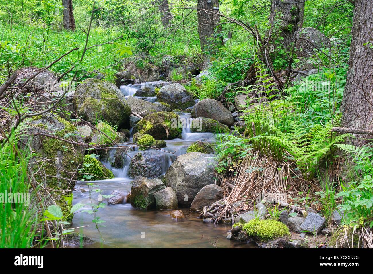 Cascade falls and mossy rocks, image of river in the spring forest Stock Photo