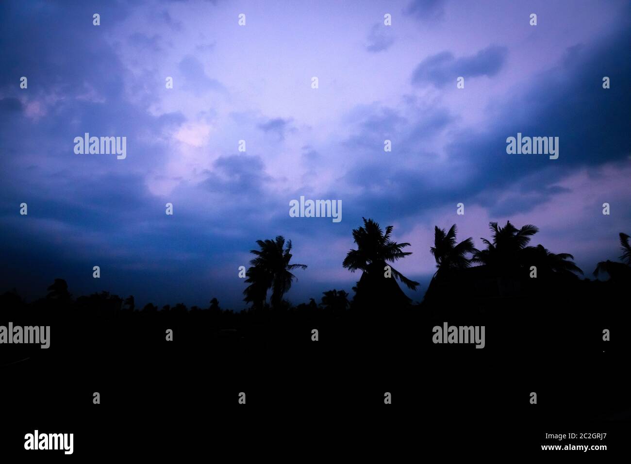 A silhouette of trees with blue sky full of dark clouds above. Calmness ...