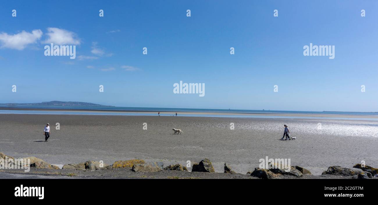 People walking their dogs on Sandymount Strand in Dublin. The beach features in James Joyce's Ulysses. Stock Photo