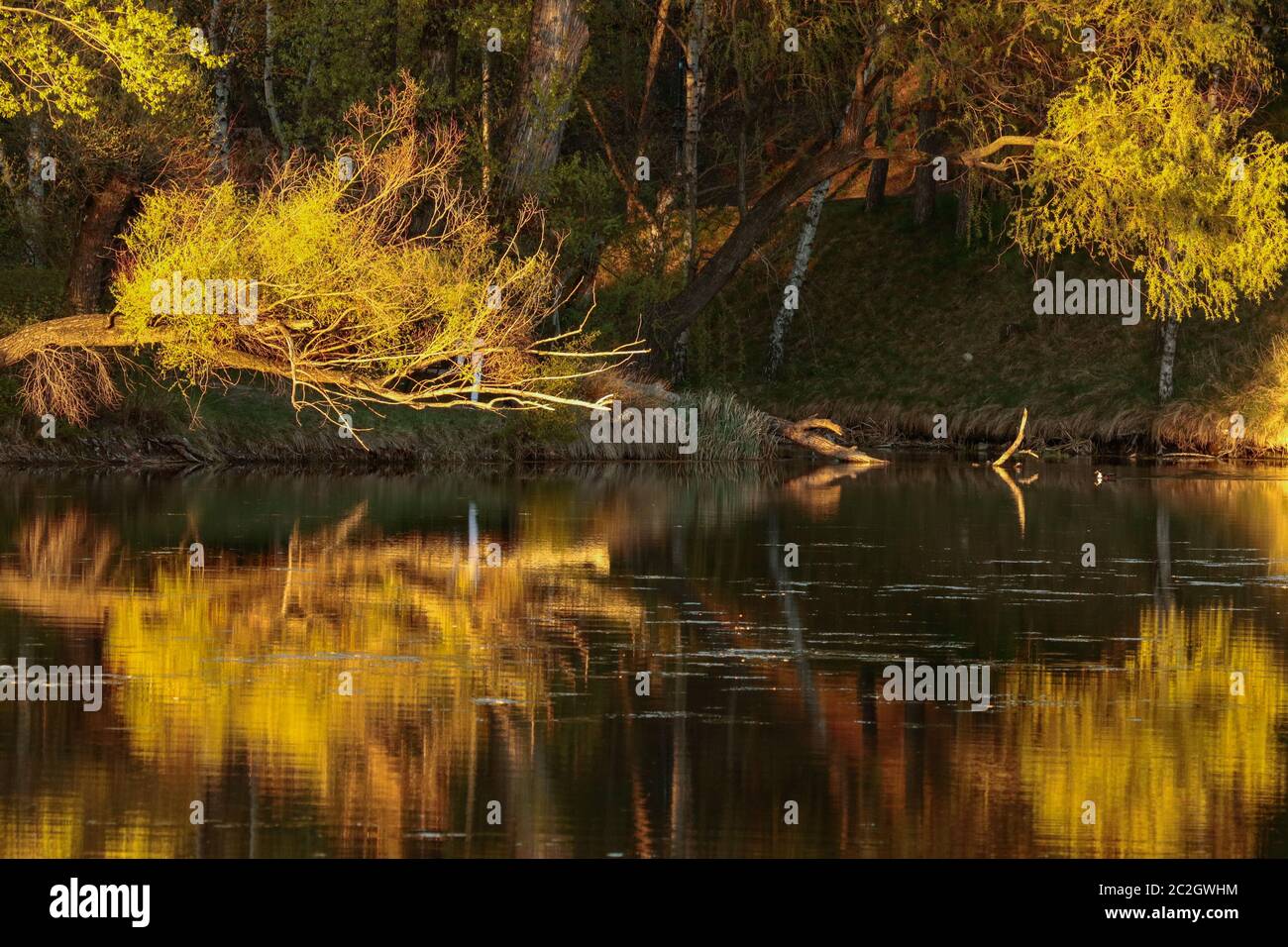 autumn coloured mirrors in water Stock Photo