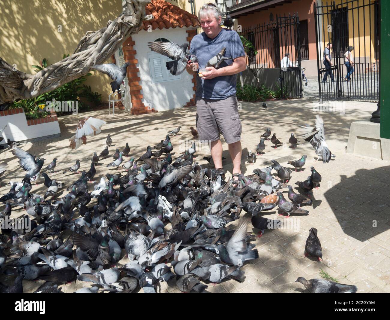 Parque de las palomas Stock Photo - Alamy