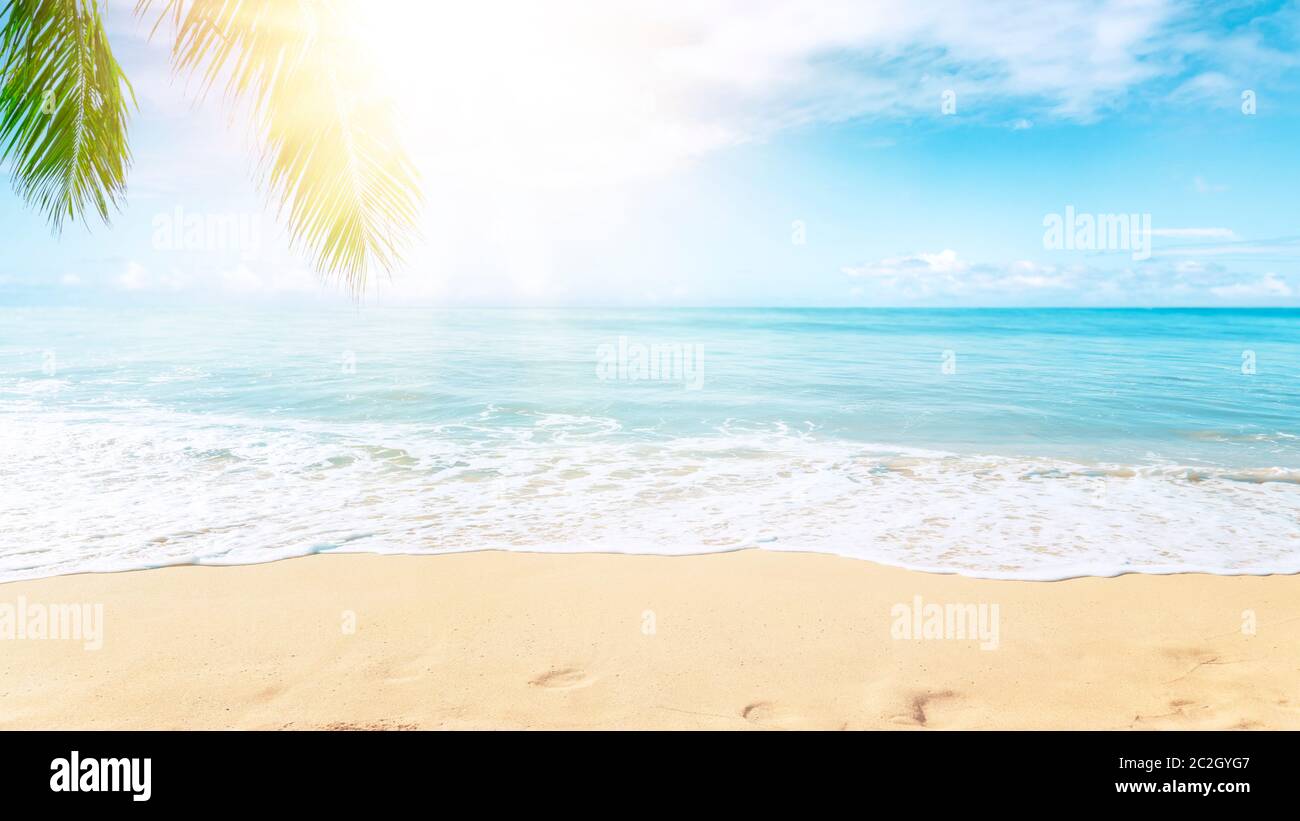 Sunny tropical beach with palm trees Stock Photo - Alamy