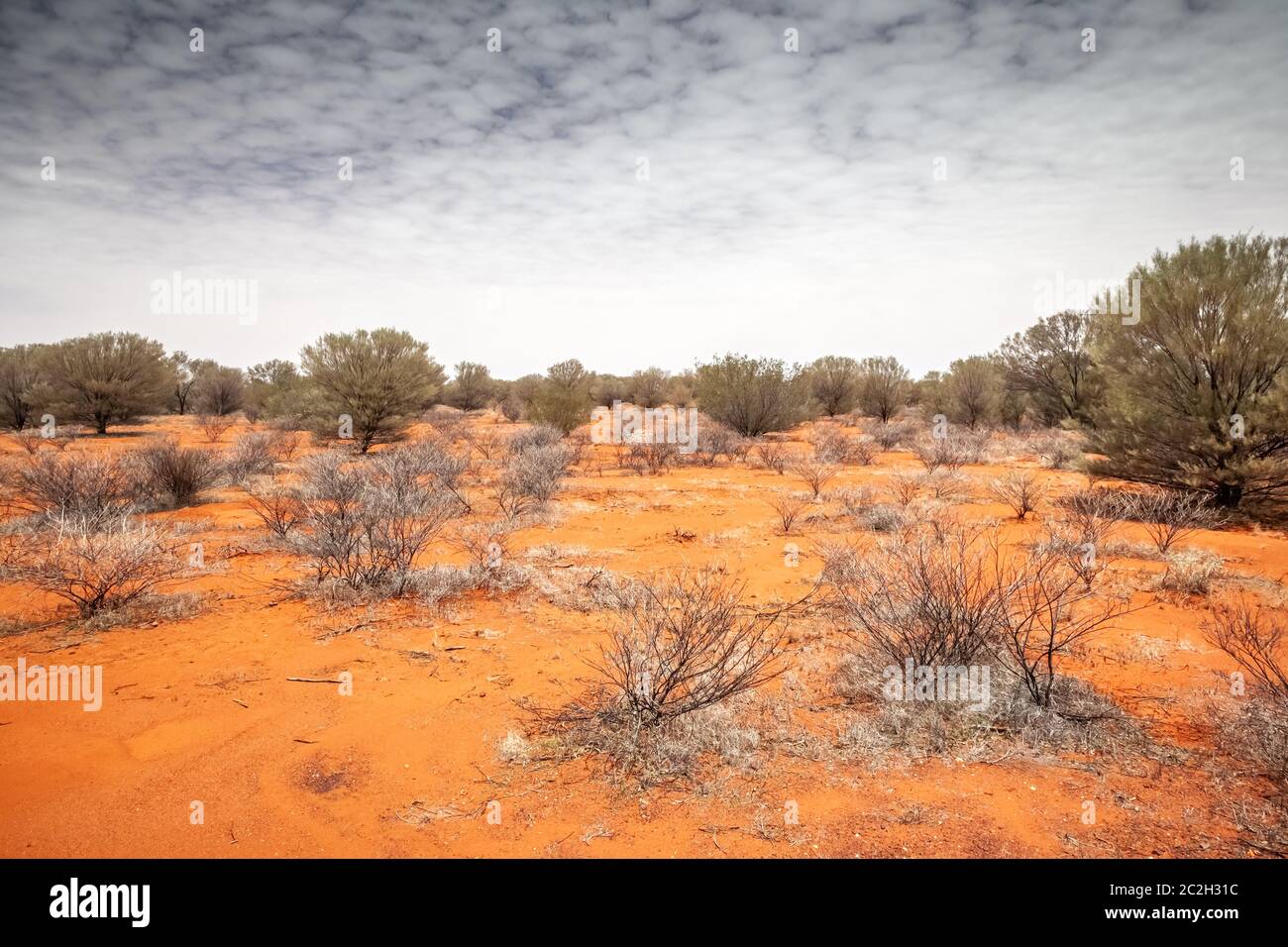 landscape scenery of the Australia outback Stock Photo