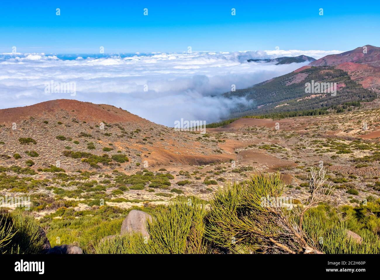 Mount Teide National Park, Tenerife, Canary Island, Spain Stock Photo