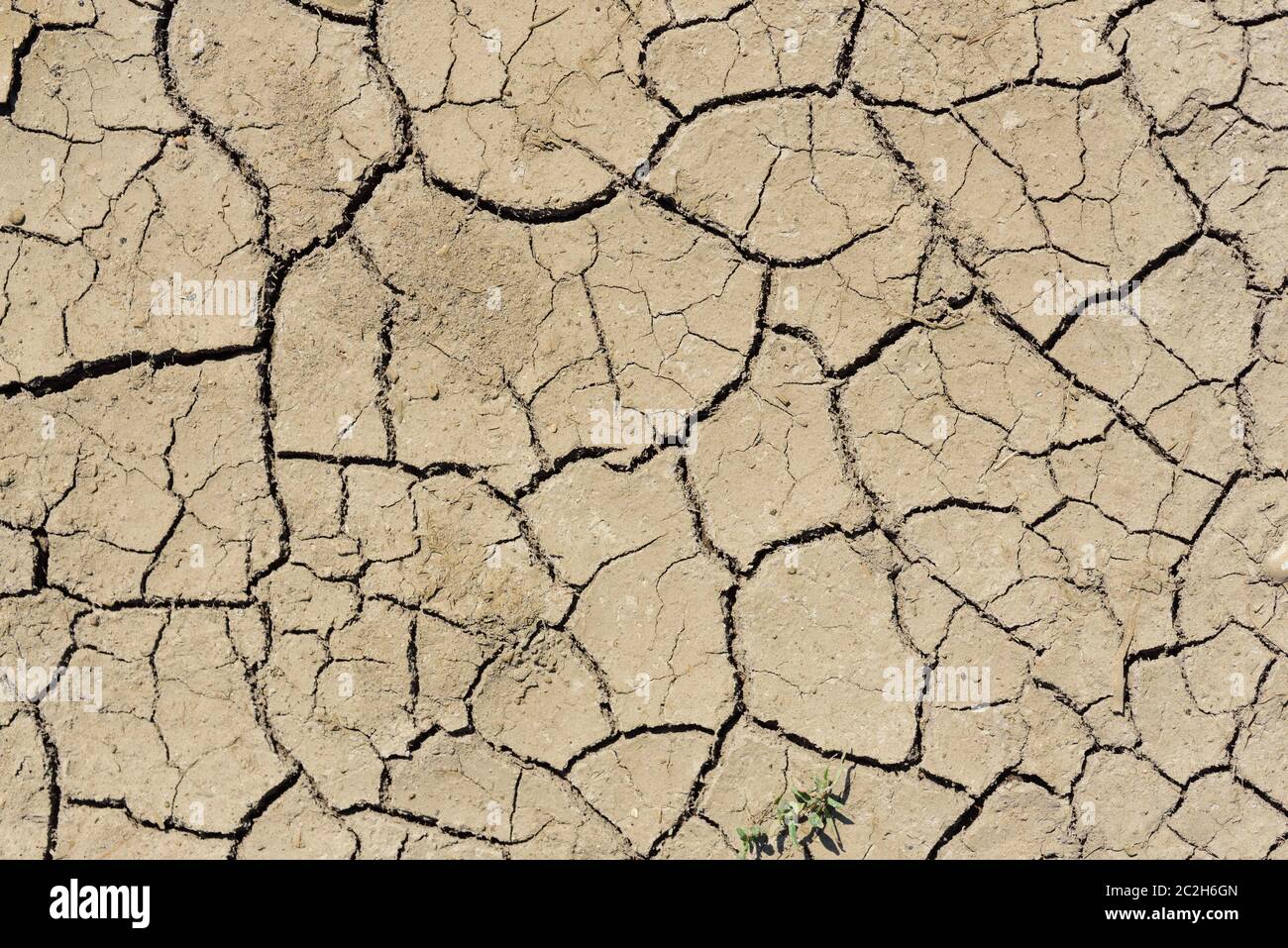 Background and texture of dry earth with cracks, photographed from above Stock Photo