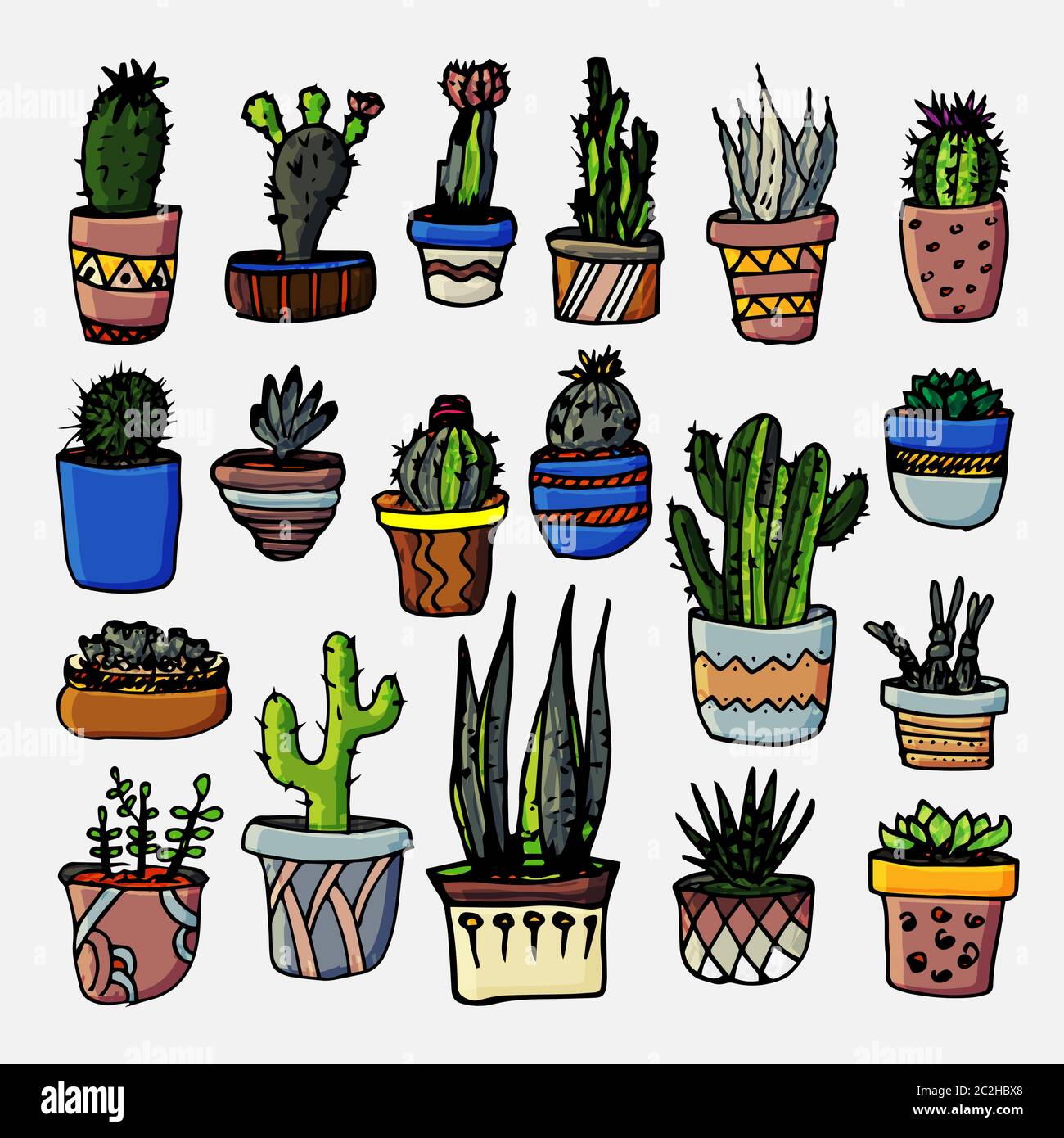 Cactus and succulents vector set. Hand drawn illustration. Tropical plants.  Botanical graphic design Stock Vector Image & Art - Alamy