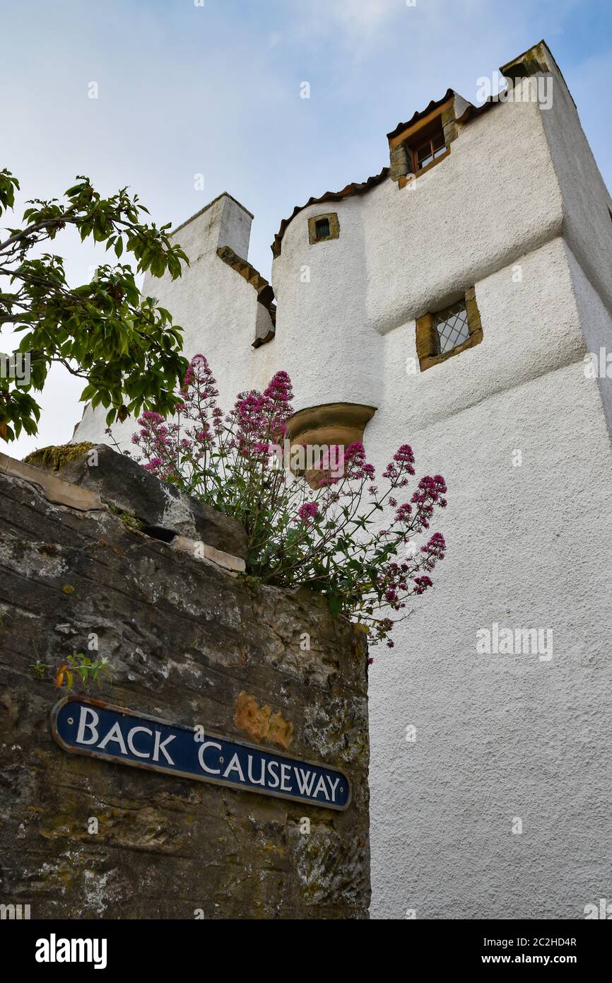 Culross, Fife, Scotland showing exterior of The Study, a historic 17th century whitewashed building with wall, sign and flowers in frame. Stock Photo