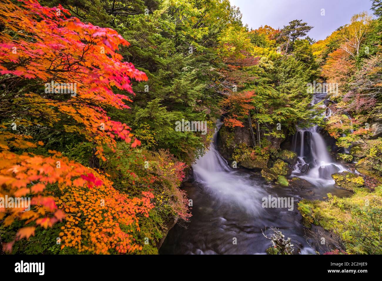 Ryuzu Waterfall Autumn forest Nikko Japan Stock Photo