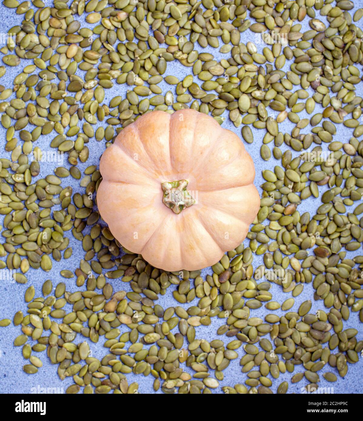 Ripe pumpkin on scattered seeds. Stock Photo