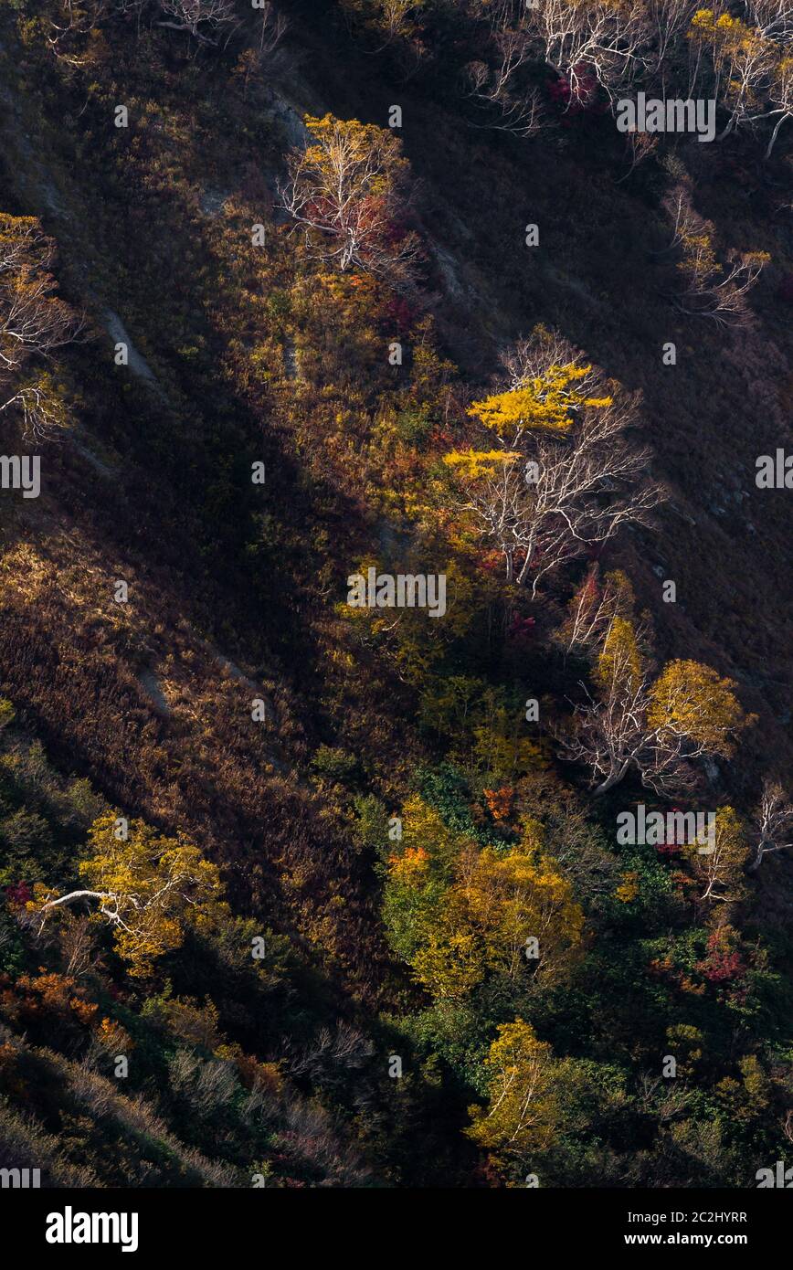 Hakuba Valley Autumn Nagano Japan Stock Photo