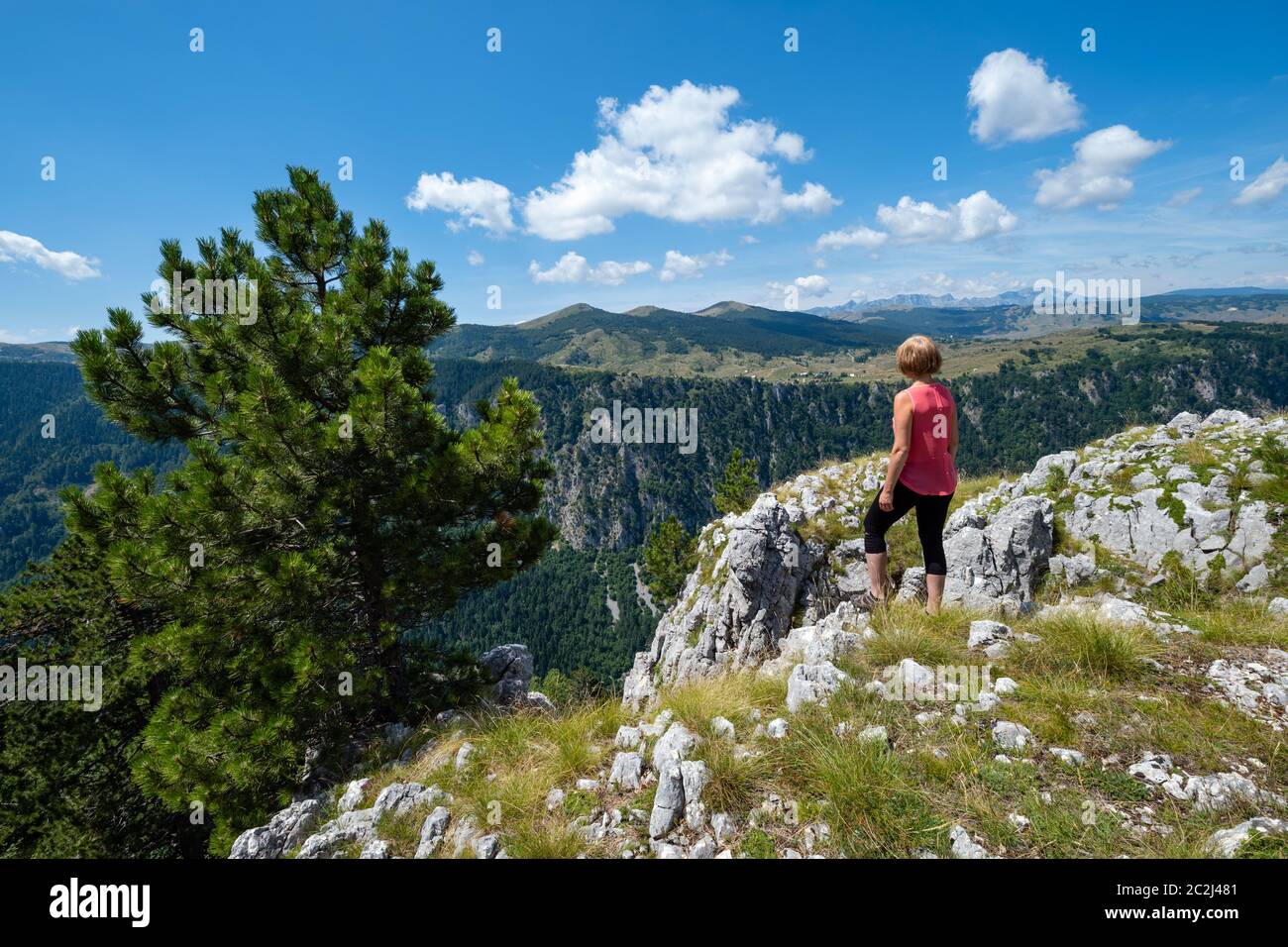 summer-tara-canyon-in-mountain-durmitor-national-park-montenegro-stock