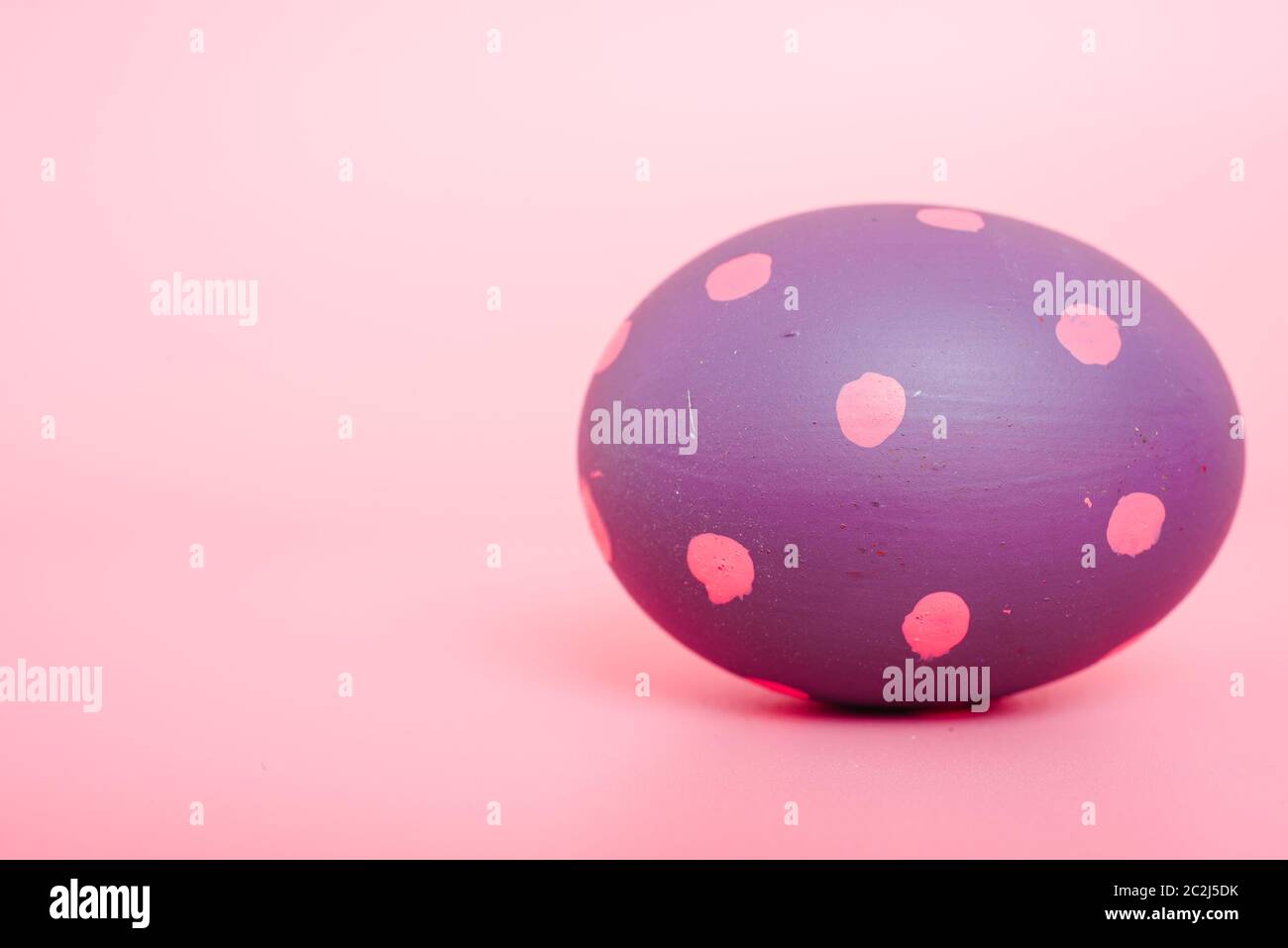 Beautiful Easter purple egg color on pink background, Easter day concept Stock Photo