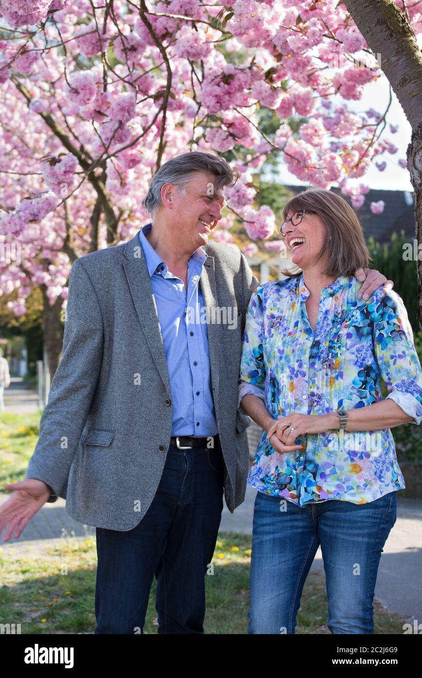 Fun loving senior couple enjoying a joke standing together under a tree with pink spring blossom laughing together. Stock Photo