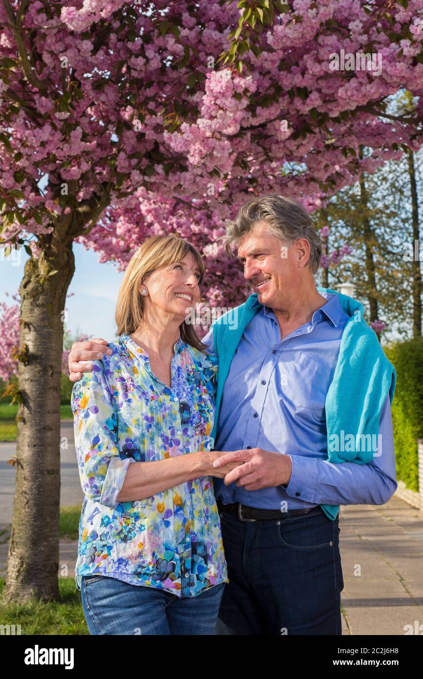 Loving middle-aged couple in a spring street standing holding hands under a tree covered in pink blossom smiling into each others eyes. Stock Photo