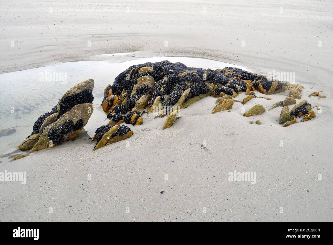 Reef Roc Surface Reef roc after the Atlantic Ocean Stock Photo - Alamy