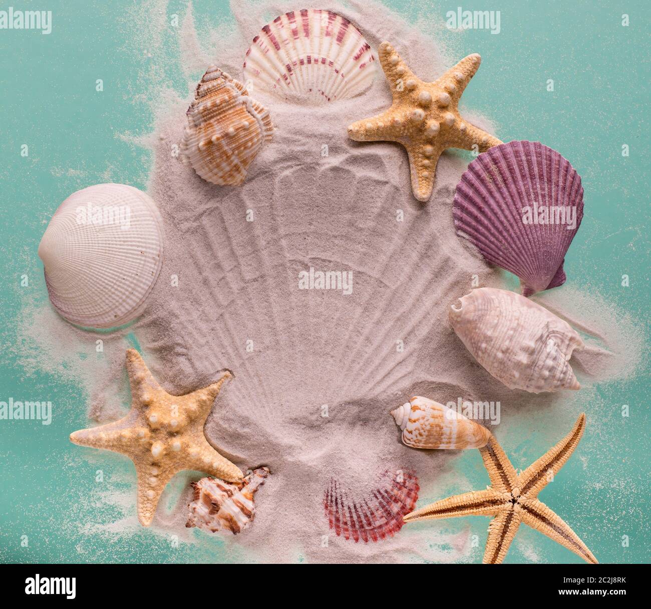 Starfish and seashells on dune sand. Top view Vacation background Stock ...