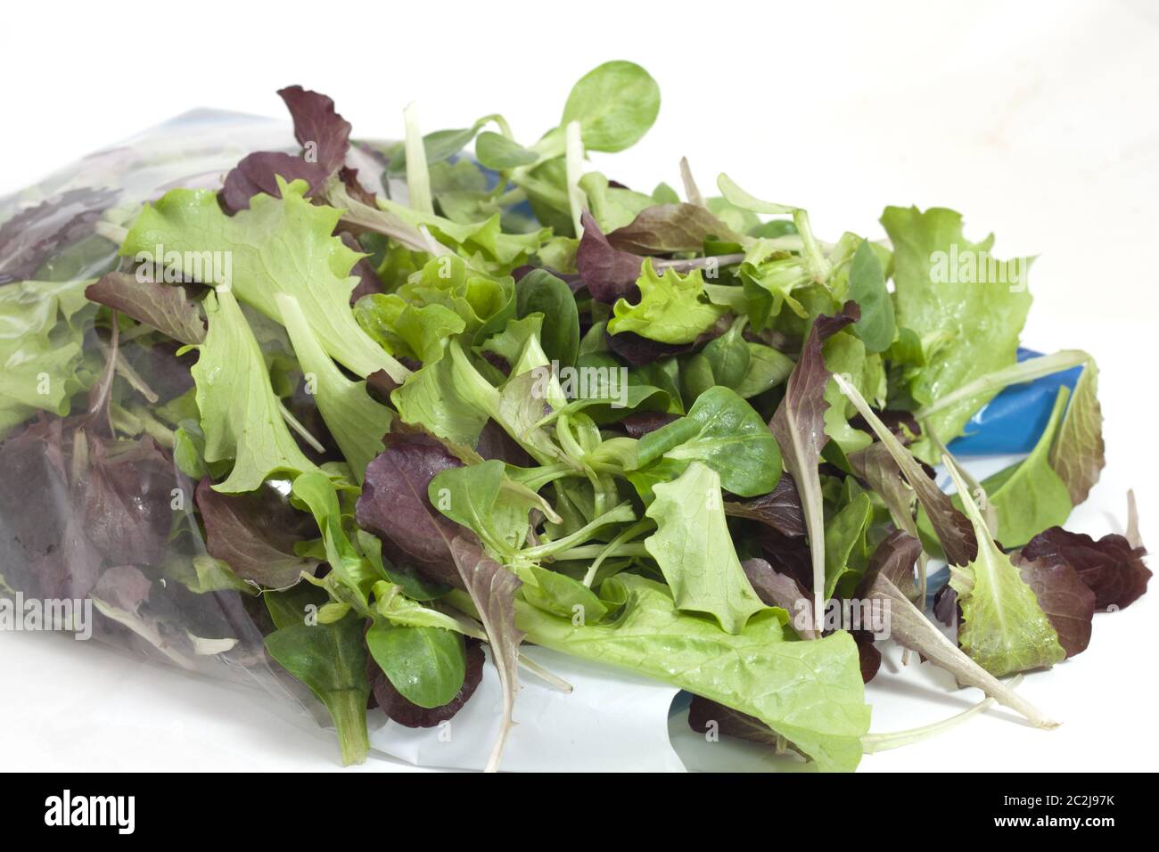 two-colored salad with freshness-saving package Stock Photo