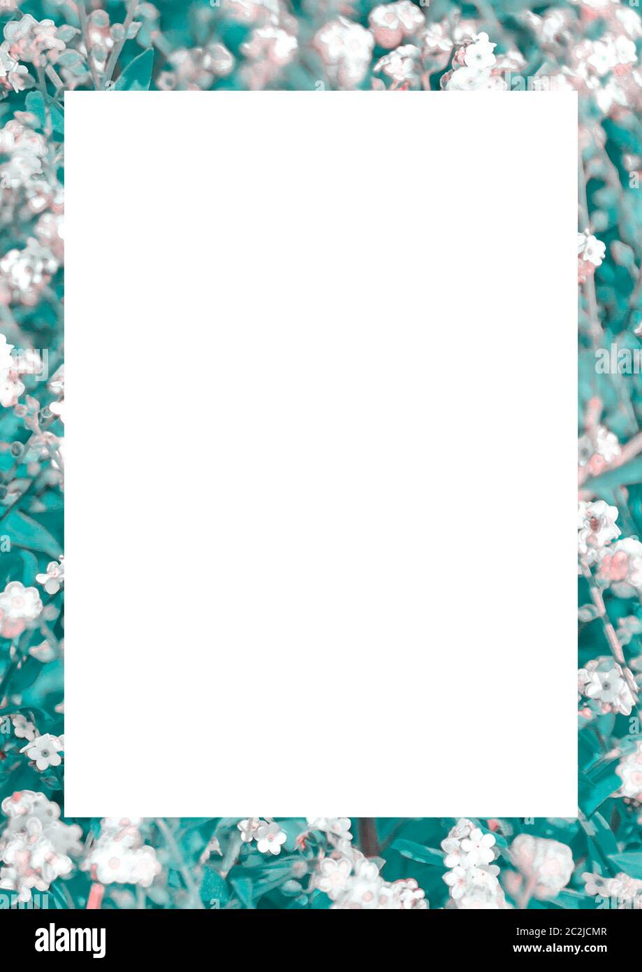 White Frame with Decorated Borders Stock Photo