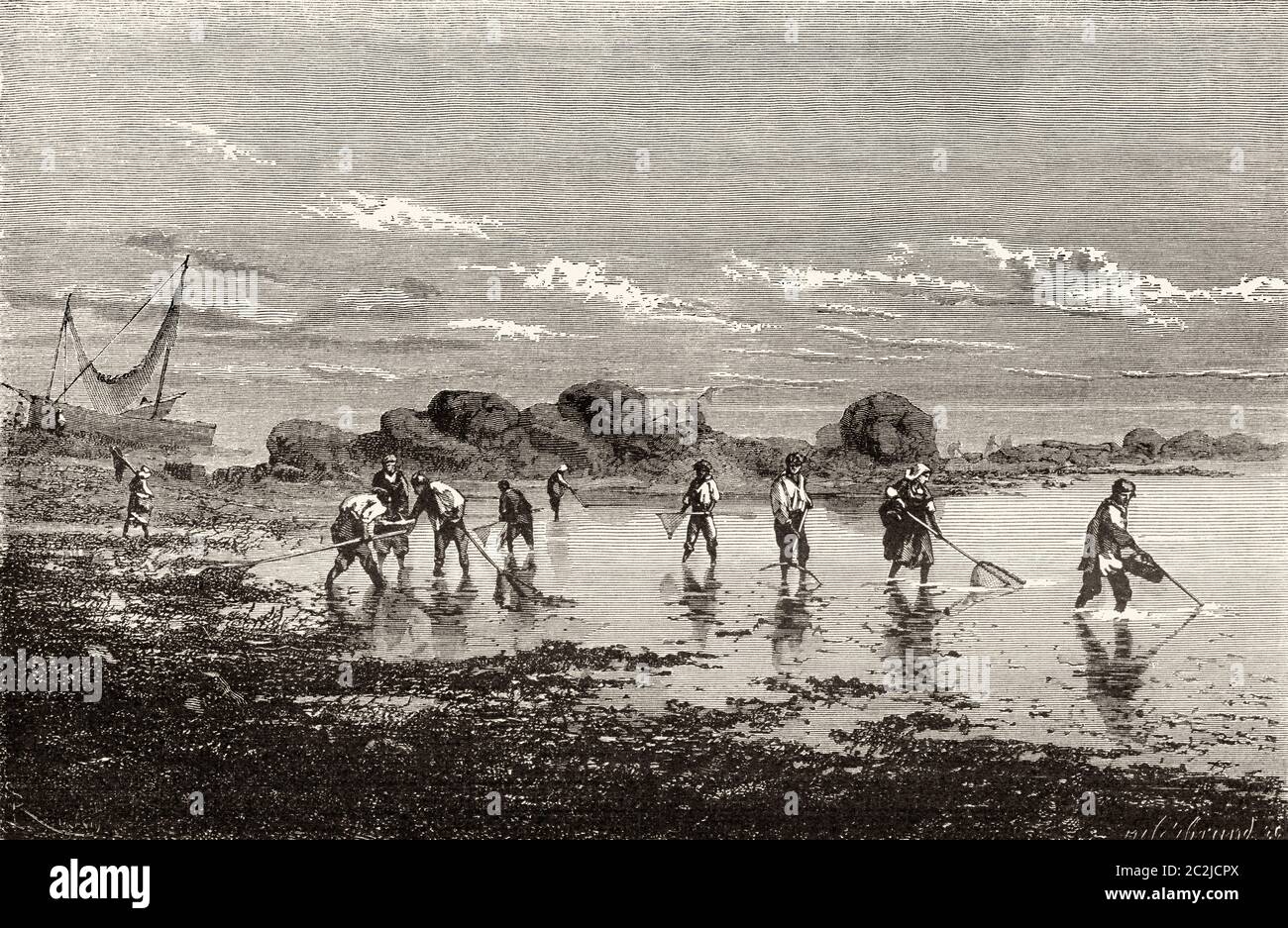 Traditional artisanal prawn fishing at low tide. Old 19th century engraved illustration, El Mundo Ilustrado 1880 Stock Photo