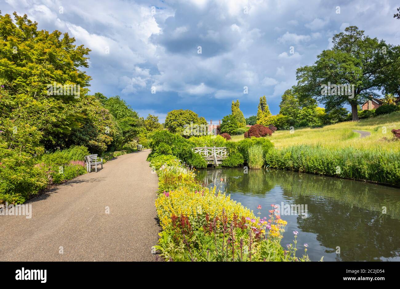 View in RHS Garden Wisley of the stream and ponds between Oakwood and the Alpine Meadow and Rock Garden, in summer Stock Photo
