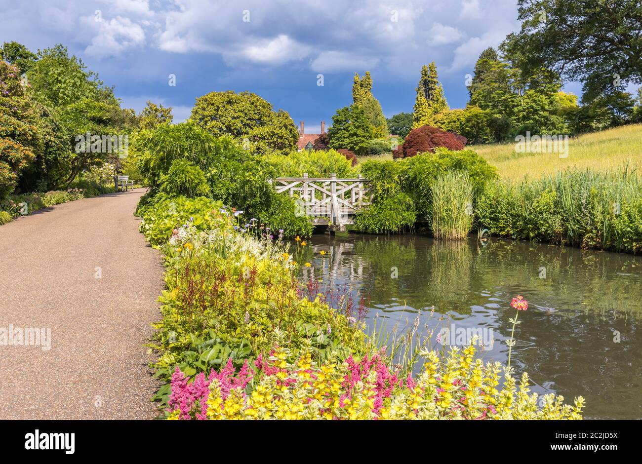 View in RHS Garden Wisley of the stream and ponds between Oakwood and the Alpine Meadow and Rock Garden, in summer Stock Photo