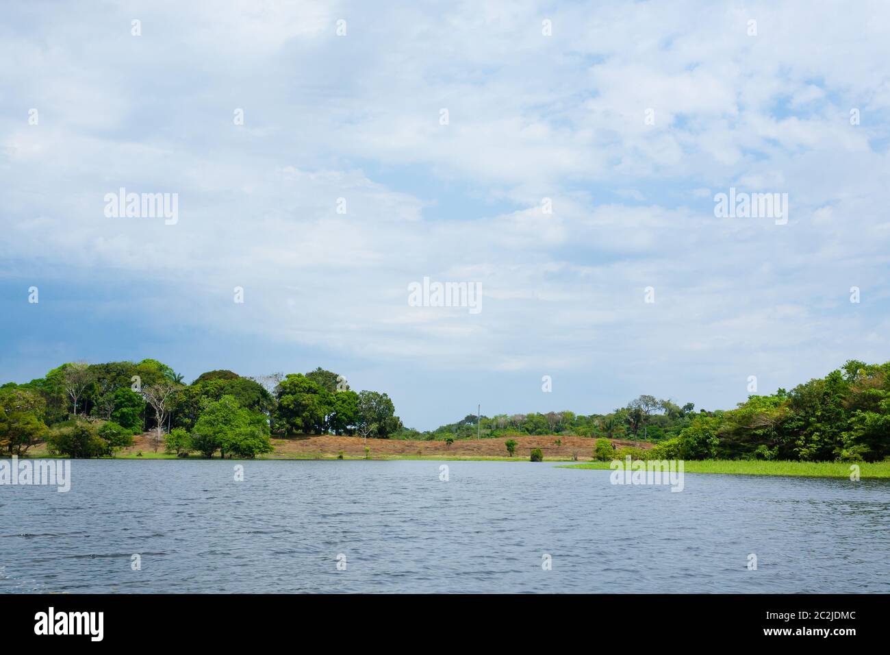 Panorama from Amazon rainforest, Brazilian wetland region. Navigable ...