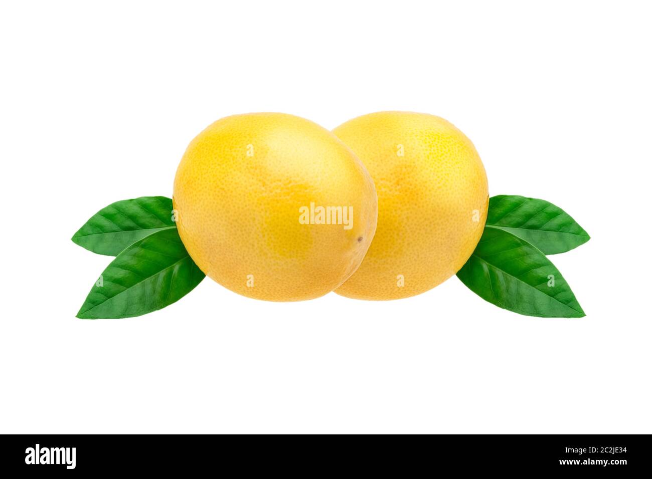 Creative layout made of lemon and leaves. Flat lay. Food concept. Lemon on white background Stock Photo