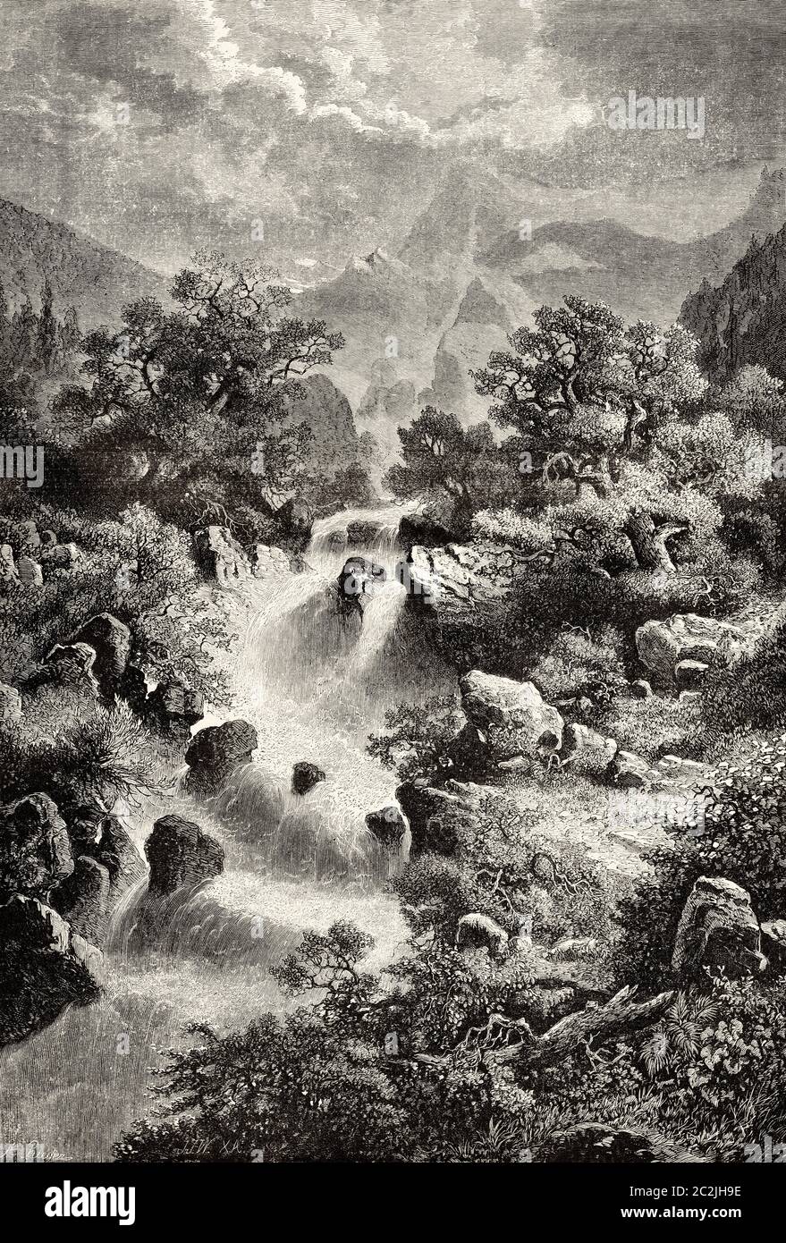 Painting Waterfall in the Pyrenees by the painter Albert Rieger. Old ...