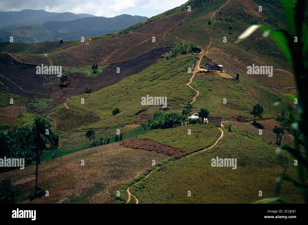 Dominican Republic Agriculture in Valley Stock Photo Alamy