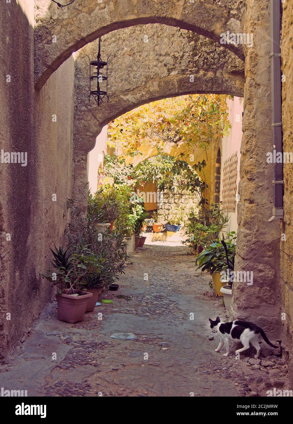 an ancient sunlit alleyway in rhodes town with stone arches between walls and pot plants and a cat walking towards a door Stock Photo