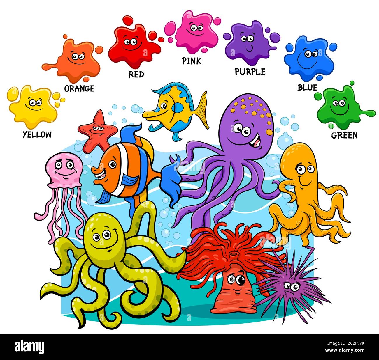 colorful sea creatures