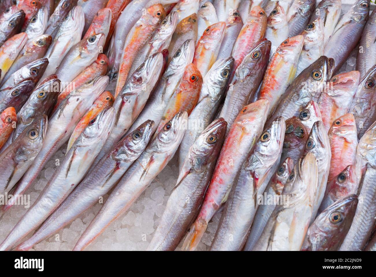 Fish at seamarket Stock Photo