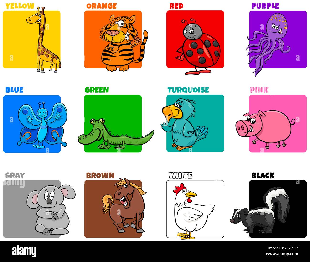 Colour animal animals collection cartoon hi-res stock photography and  images - Alamy