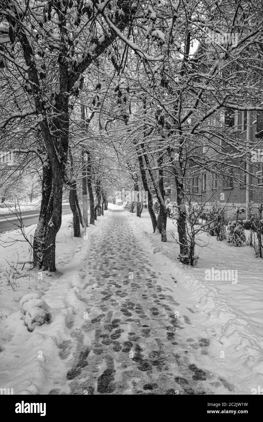 snow-covered alley in the city with footprints in the snow Stock Photo