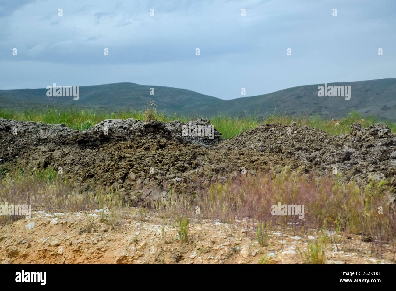 Piles of manure in the field. Cow and horse manure with land Stock