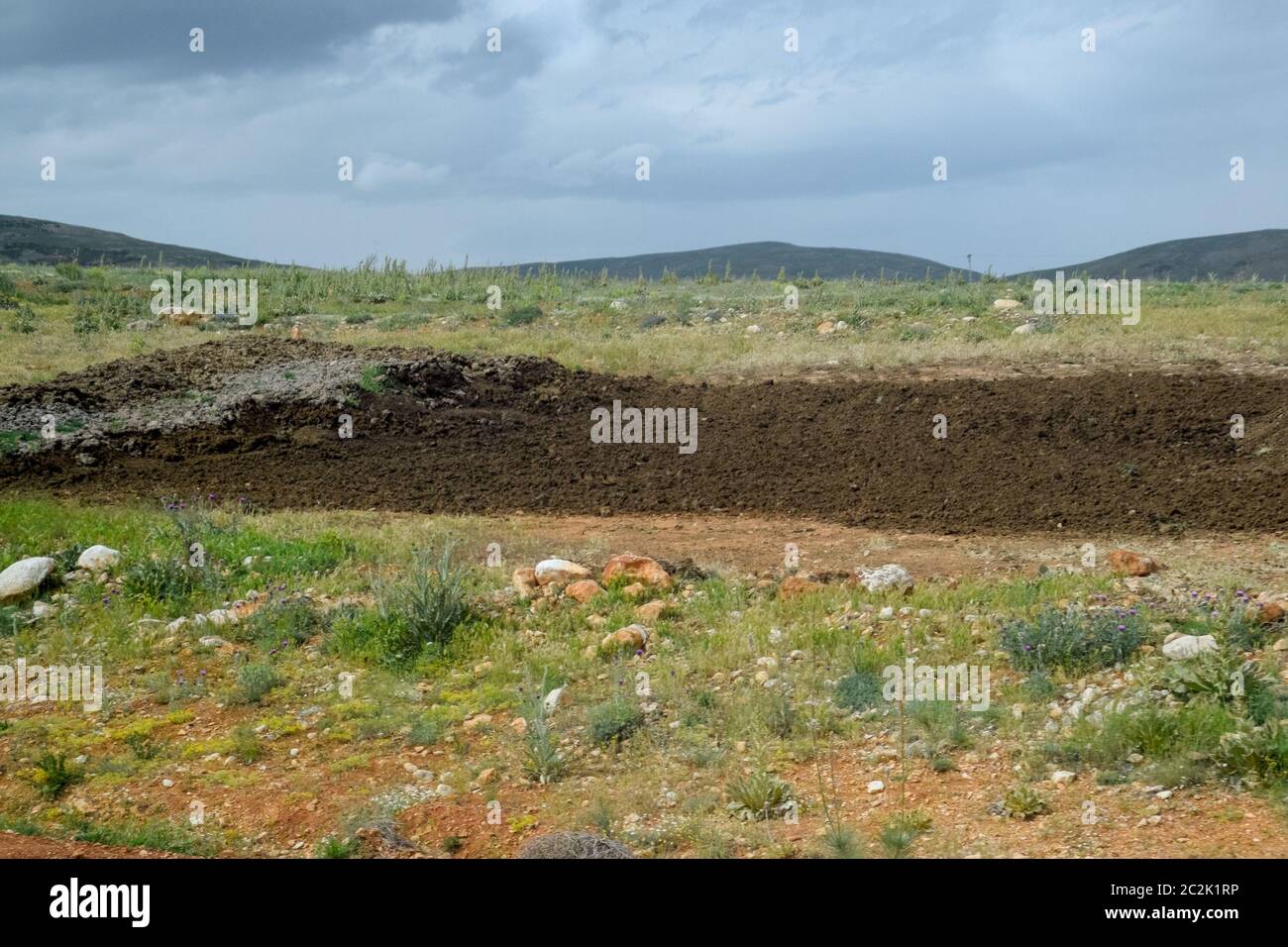 Piles of manure in the field. Cow and horse manure with land Stock