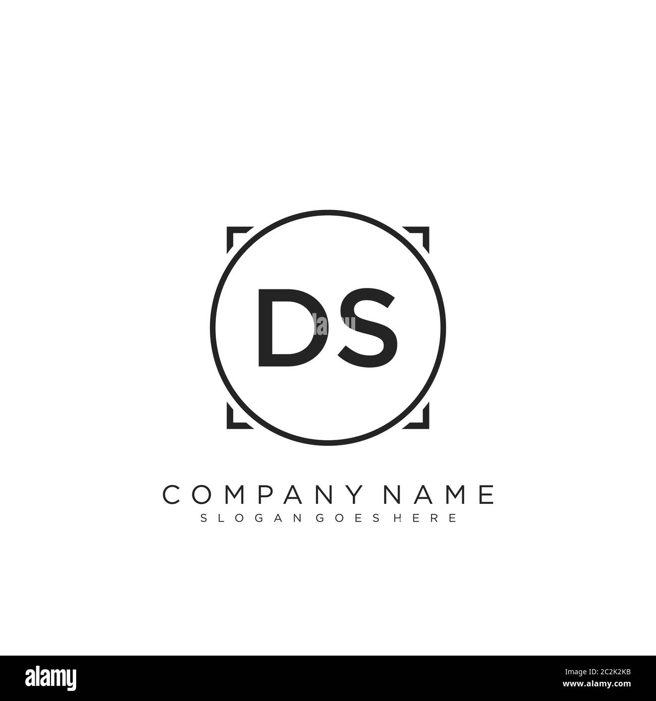 Initial letter DS beauty handwriting logo vector Stock Vector