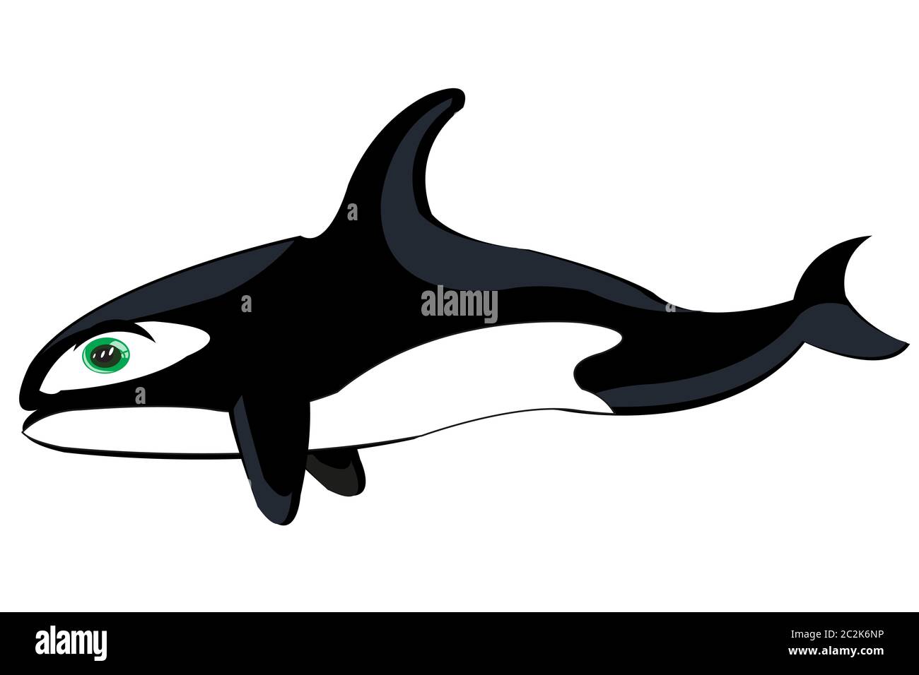 Vector illustration of the cartoon of the ravenous whale killer whale Stock  Photo - Alamy