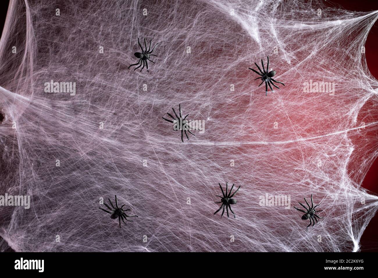 Black and white spiderweb hi-res stock photography and images - Page 37 -  Alamy