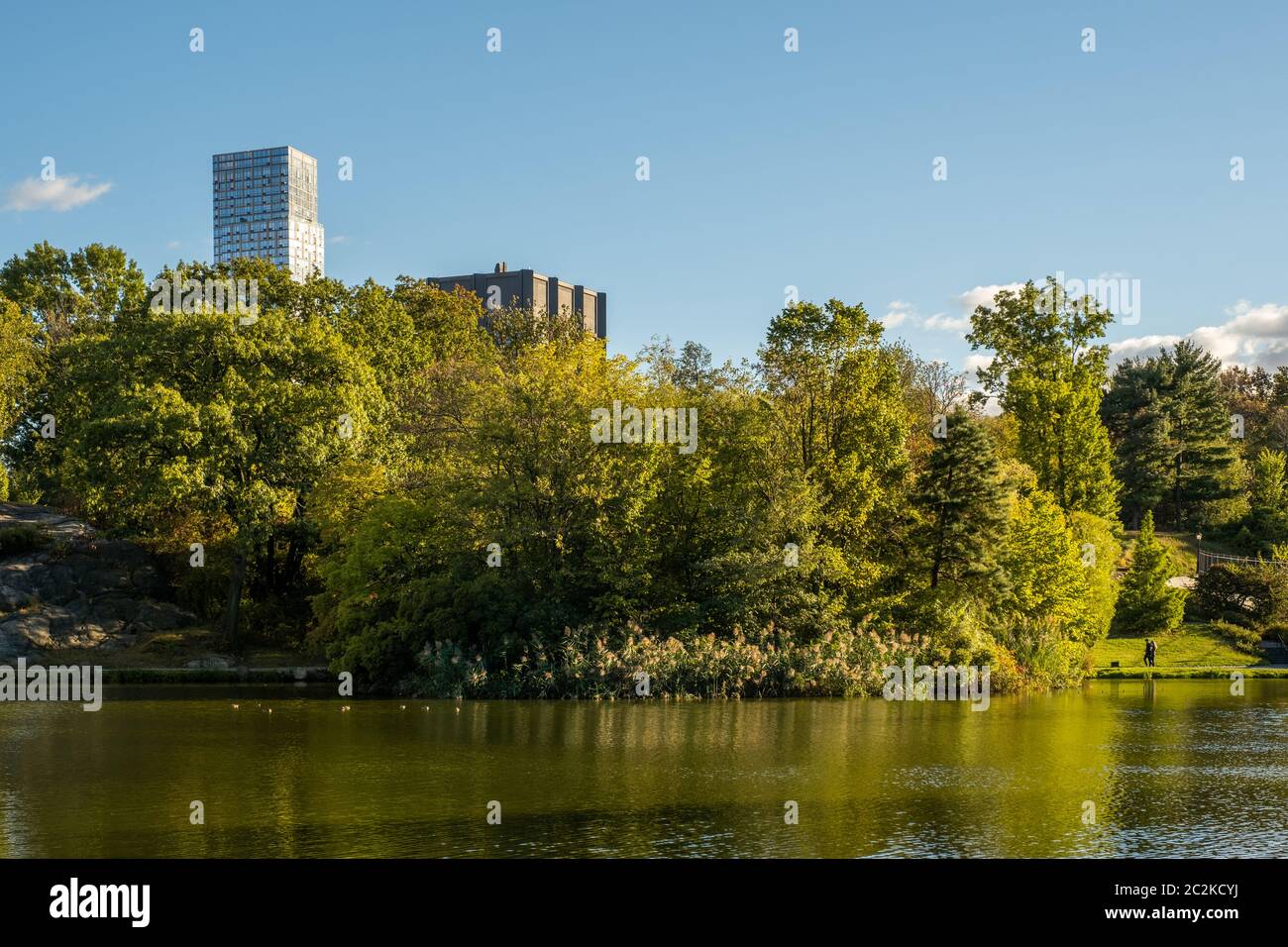 Early autumn color in Central Park North Stock Photo Alamy