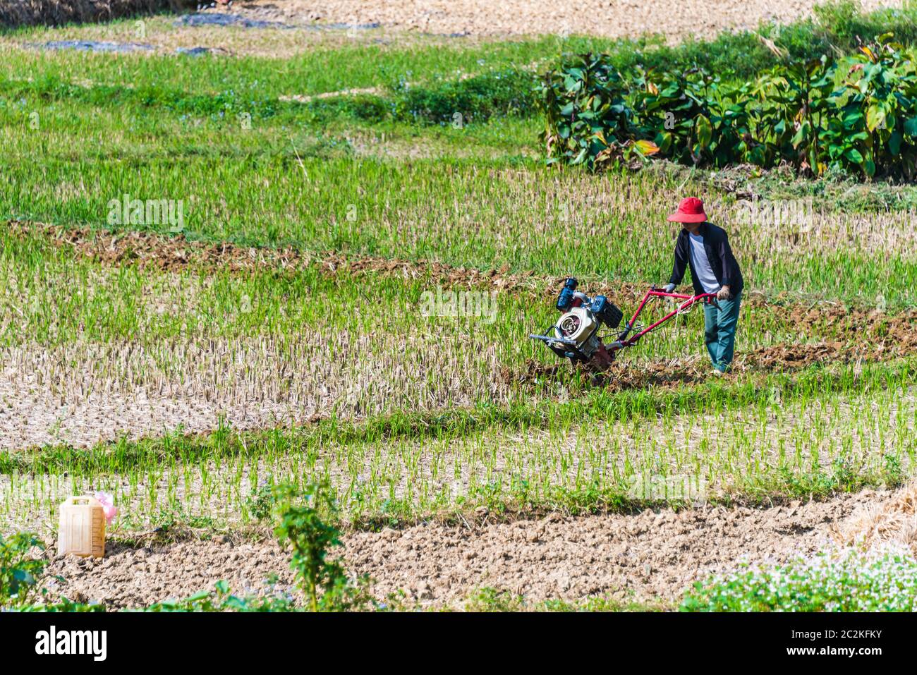 Self-sufficient labor-intensive farming in Ha Giang province, Vietnam.Traditional sustainable agriculture. Stock Photo
