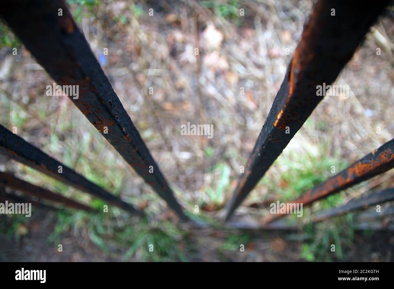 Old and rust grating in a park Stock Photo