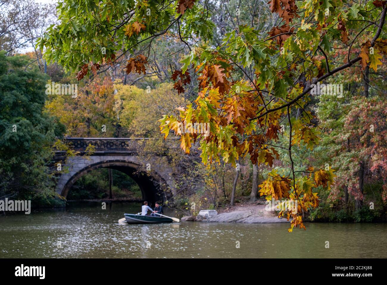 Fall foliage color of Central Park in Manhattan Stock Photo - Alamy