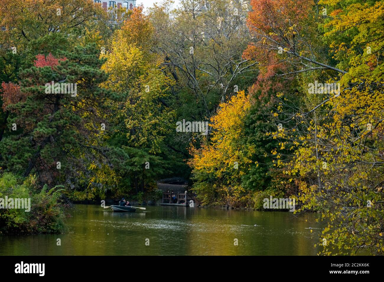 Fall foliage color of Central Park in Manhattan Stock Photo
