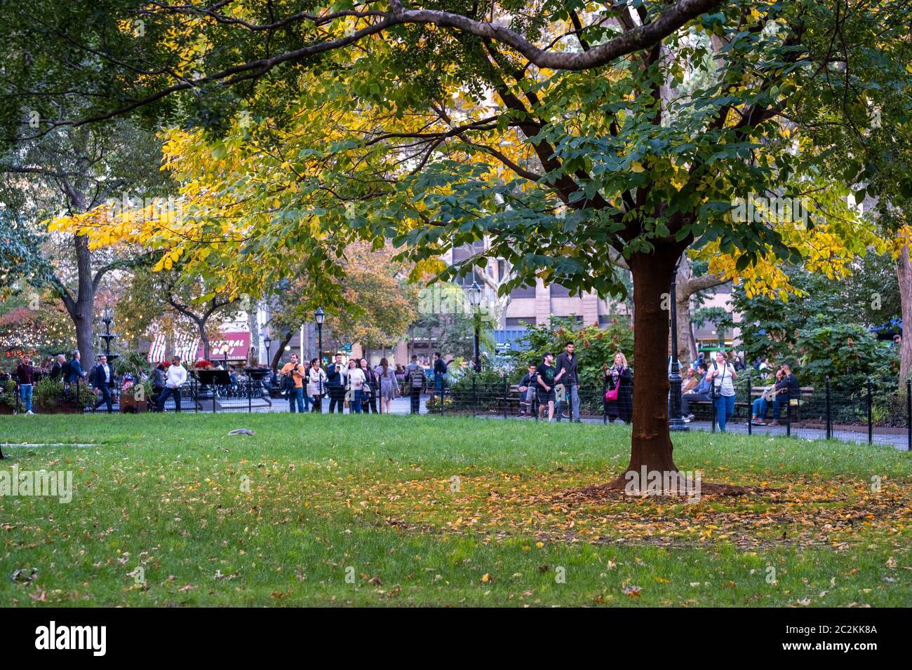 Fall foliage color of Madison Square Park Flatiron District in Midtown Manhattan Stock Photo