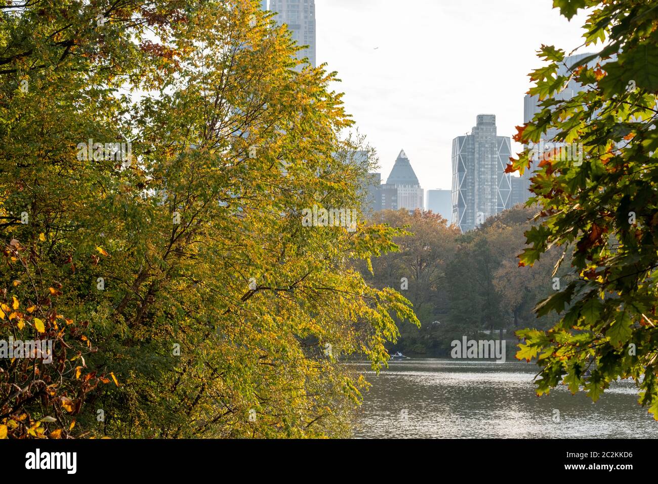 Fall foliage color of Central Park in Manhattan Stock Photo