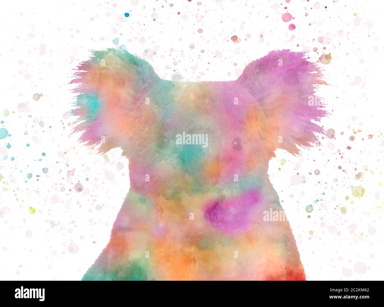 Color koala hires stock photography and images Alamy