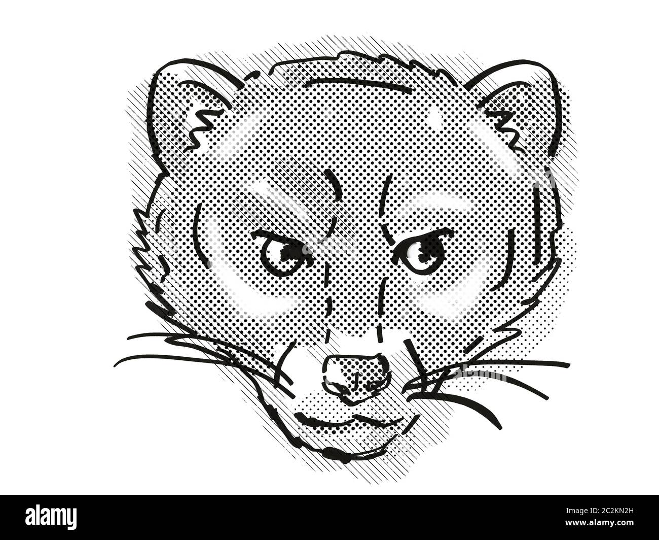 Retro cartoon style drawing of head of a Malayan Civet or Viverra Tangalunga , an endangered wildlife species on isolated white background done in bla Stock Photo